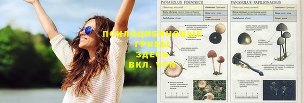 мескалин Вязники