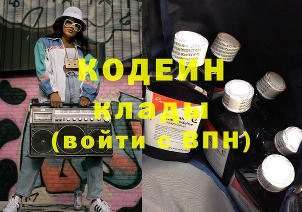 спиды Вяземский