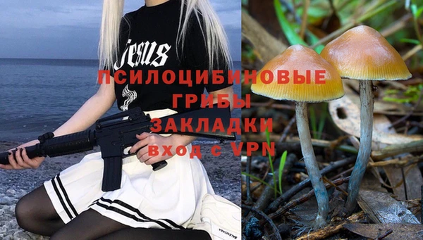 спиды Вяземский