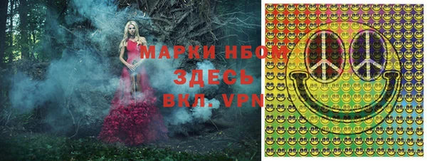 спиды Вяземский