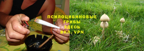спиды Вяземский
