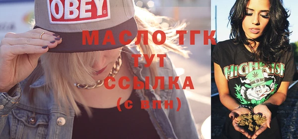 спиды Вяземский