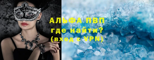 спиды Вяземский