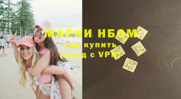 спиды Вяземский
