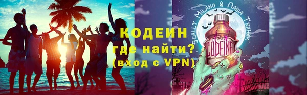 спиды Вяземский
