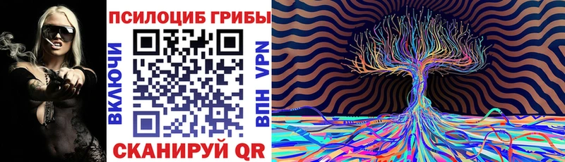 купить наркотик  Ивангород  ОМГ ОМГ ссылка  Галлюциногенные грибы Psilocybine cubensis 